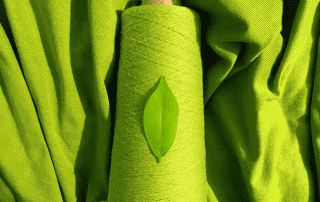 Sustainability Practices in Textile and Apparel
