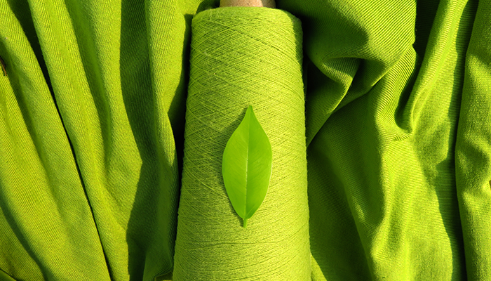 Sustainability Practices  in Textile and Apparel