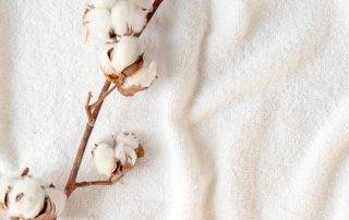 Cotton